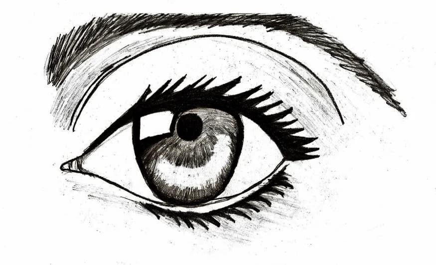 Pencil study of an eye with an arched brow, spiky lashes and a cross-hatched iris