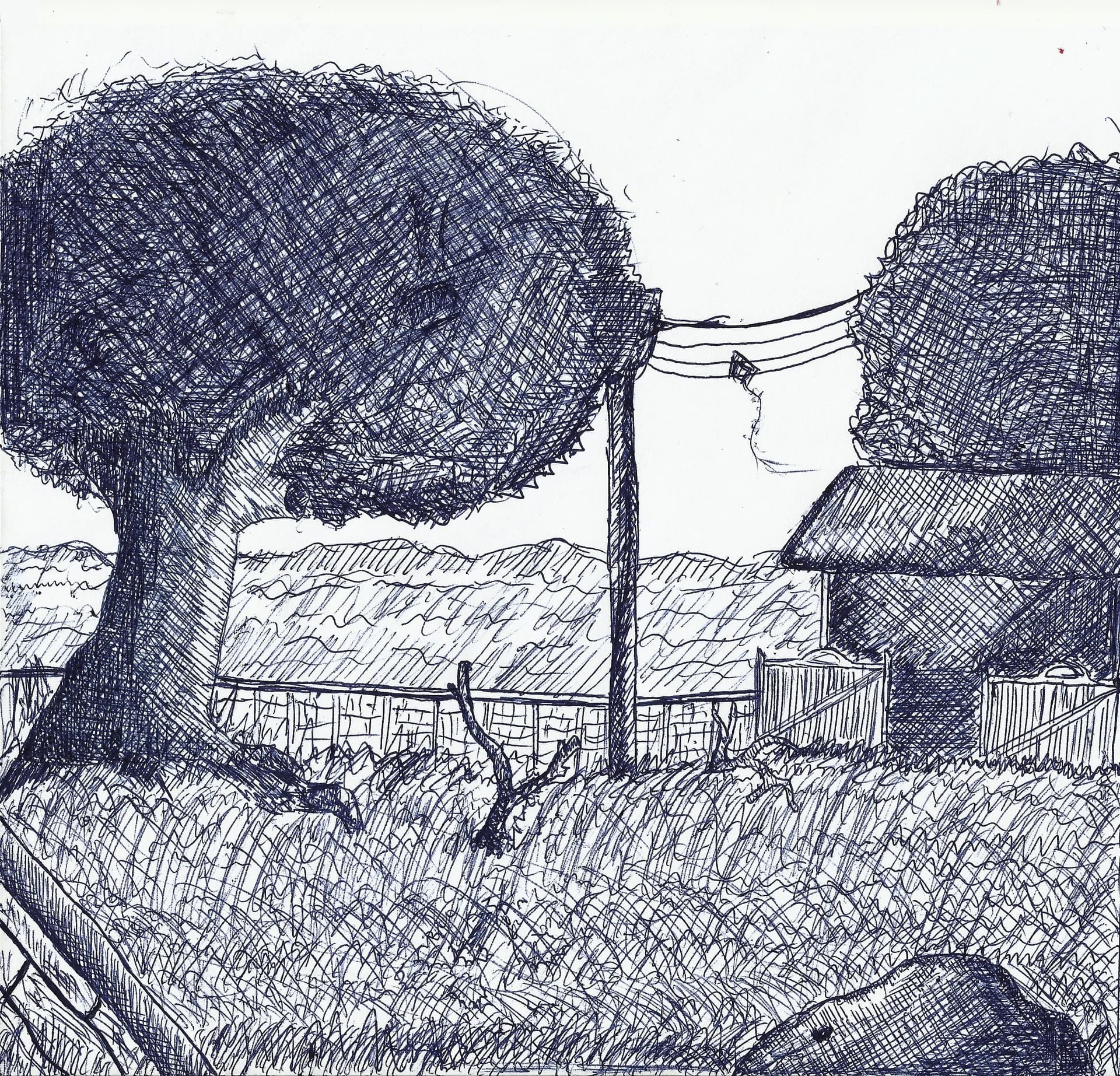 Cross-hatched ballpoint sketch of two rounded trees, a utility pole with wires, a thatched hut, a fence and grass